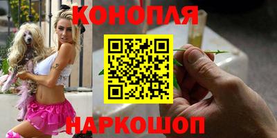 прущие крисы Новодвинск