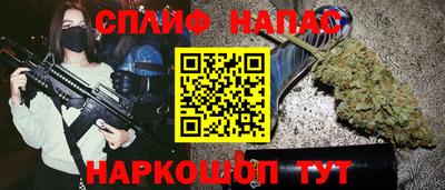 дмт Новокубанск