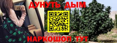 наркотики Новозыбков
