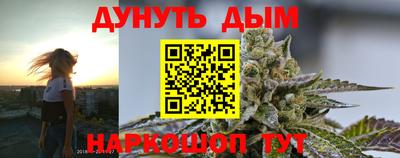 наркотики Новозыбков