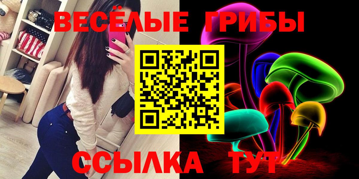 Галлюциногенные грибы Psilocybe Узловая